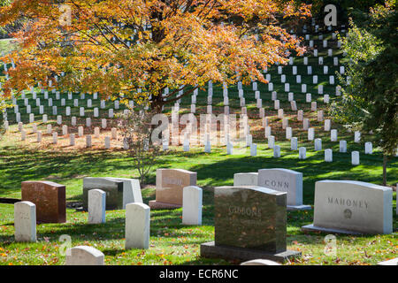Al Cimitero Nazionale di Arlington nel fogliame di autunno, Virginia Foto Stock