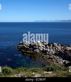 De Kelders sulla costa meridionale della provincia del Capo occidentale del Sud Africa è un posto popolare per fare whale watching. Foto Stock