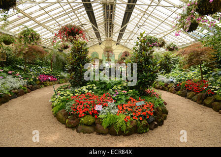 Conservatorio, i Giardini Fitzroy, Melbourne, Australia Foto Stock