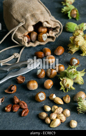 Una selezione di wild British foraged dadi, compresi cobnuts e nocciole Foto Stock