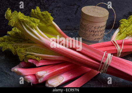 Rabarbaro fresco legati in mazzi e in un cestello trug. Un pasticcino rosso vegetale alimentare spesso utilizzato in sbriciola etc.una croce NEL REGNO UNITO Foto Stock