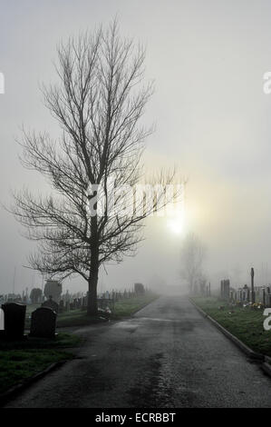 Cimitero avvolto nella nebbia. Foto © George Sweeney/Alamy Foto Stock