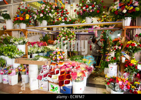 Il fiore Mart downtown Los Angeles, California, Stati Uniti d'America Foto Stock