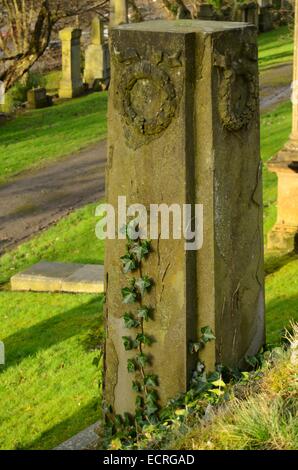 Edera che cresce su una lapide nella necropoli a Glasgow, Scozia Foto Stock