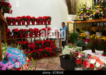 Il fiore Mart downtown Los Angeles, California, Stati Uniti d'America Foto Stock