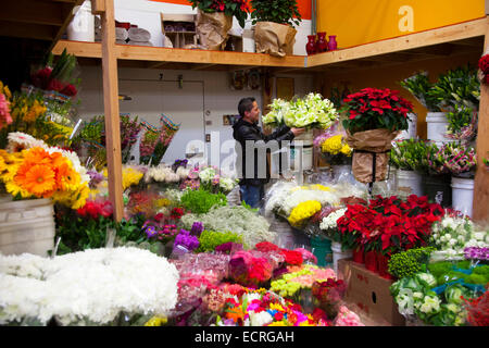 Il fiore Mart downtown Los Angeles, California, Stati Uniti d'America Foto Stock
