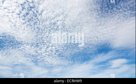 Sottile strato di nuvole cirrocumulate bianche sul cielo blu della Finlandia Foto Stock