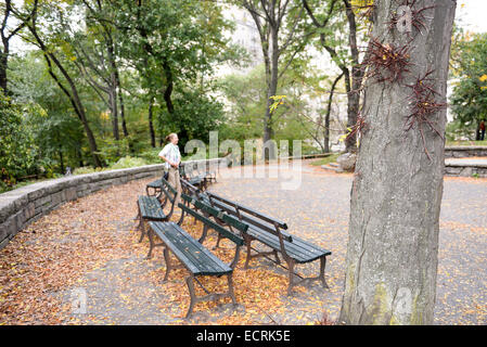 Numerose panchine su una zona di appoggio nel lato superiore di Central Park, Manhattan, New York, New York, Stati Uniti d'America. Foto Stock