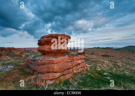 Mattina su Hayne verso il basso. Parco Nazionale di Dartmoor, Devon, Inghilterra. Foto Stock