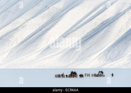 Due mushers con squadre di slitte trainate da cani che corre attraverso la neve Foto Stock