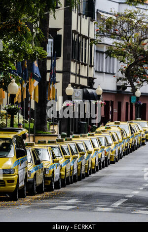 Lunga fila di giallo taxi parcheggiato su una strada della citta'. Funchal, Madeira. Foto Stock