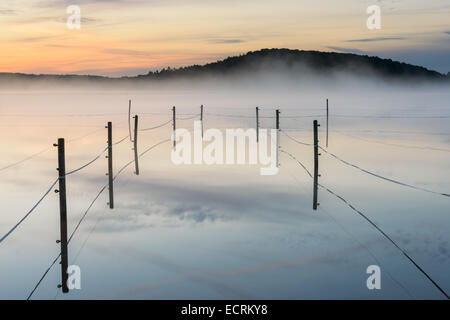 Paddock recintato su un lago di nebbia. Foto Stock