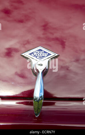 Maniglia di boot e badge di anni cinquanta Riley modello auto RM Foto Stock