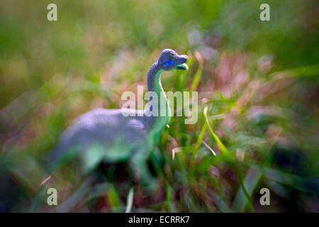 LB00123-00...WASHINGTON - dinosauro giocattolo ad esplorare il fuori-di-porte. Foto Stock