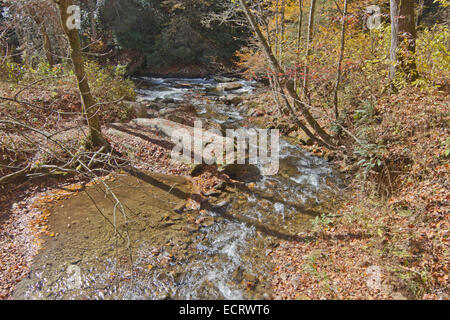 Un flusso di selvatico si snoda attraverso un paesaggio di autunno della foresta nel deserto di montagna Foto Stock