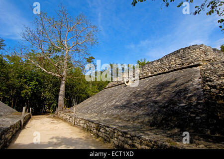 Palla, le rovine Maya di Coba, Quintana Roo stato, Riviera Maya, la penisola dello Yucatan, Messico Foto Stock