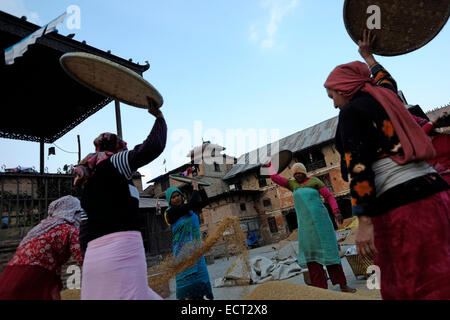 Le donne nepalesi la trebbiatura del grano in modo tradizionale presso il cortile di Rato Machhendranath tempio del dio patrono di Patan nel villaggio di Bungamati un tradizionale Newar città nel distretto di Lalitpur, Nepal. Foto Stock