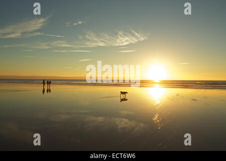 Gli scuotipaglia e il cane a camminare sulla spiaggia vuota durante la serata autunnale, Monknash beach, Patrimonio Costa, Vale of Glamorgan, South Wales, Regno Unito e Unione europea Foto Stock