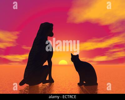 Silhouette nera di un gatto accanto a dog sitter e guardando lo splendido tramonto rosso Foto Stock