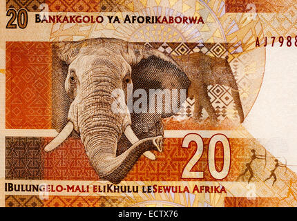 Sud Africa 20 Venti Rand nota banca Foto Stock