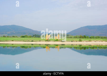 Simmetria con albero riflessioni su un lago. Ullibarri Ganboa Foto Stock