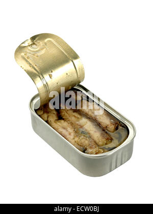 sardine in scatola Foto Stock