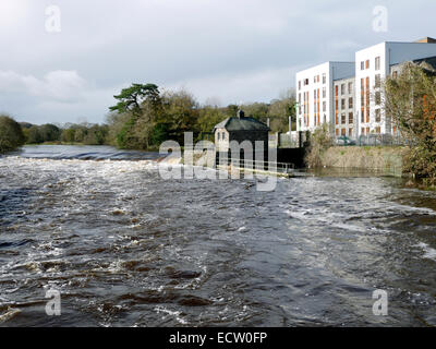 Il fiume Bandon al Bandon, County Cork, Irlanda. Foto Stock