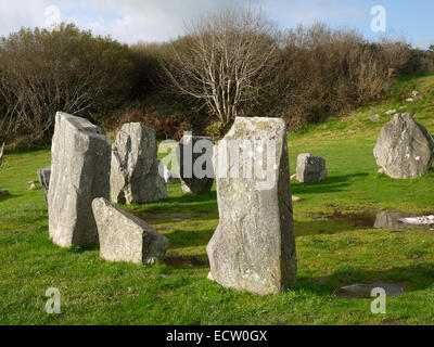 Drombeg Stone Circle, noto anche come "Il Druido Altare dell', Vicino Glandore, County Cork, Irlanda Foto Stock