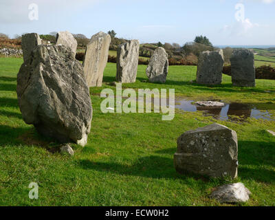 Drombeg Stone Circle, noto anche come "Il Druido Altare dell', Vicino Glandore, County Cork, Irlanda Foto Stock