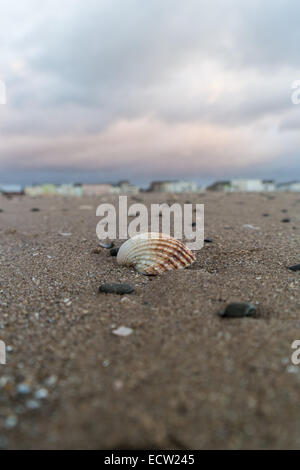 Blackpool, Lancashire, Regno Unito. Xix Dec, 2014. Blackpool, Lancashire Regno Unito. Dopo giorni di sordo e con tempo umido infine il sole fuoriesce durante il giorno, seppur con una forte e gusty vento freddo che soffia dal mare d'Irlanda. Credito: gary telford/Alamy Live News Foto Stock