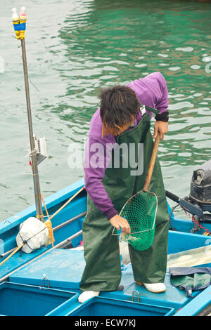 Lo scarico dei giorni di catture di pesce fresco sul Cheung Chau Isola, Hong Kong. Foto Stock