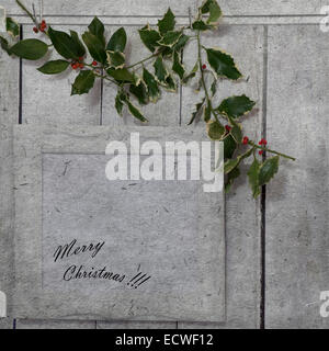 Vintage sfondo. Unione Holly (Ilex aquifolium) foglie e frutta Foto Stock