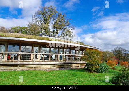 Aceri Ristorante, Westonbirt Arboretum nazionale, Gloucestershire, England, Regno Unito Foto Stock