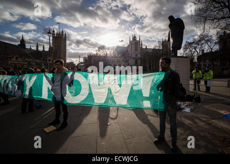 Londra, Regno Unito. Xx Dec, 2014. Occupare la democrazia ritorna alla piazza del Parlamento Credit: Guy Corbishley/Alamy Live News Foto Stock