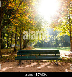 Banco in Tiergarten Berlin in tarda estate Foto Stock