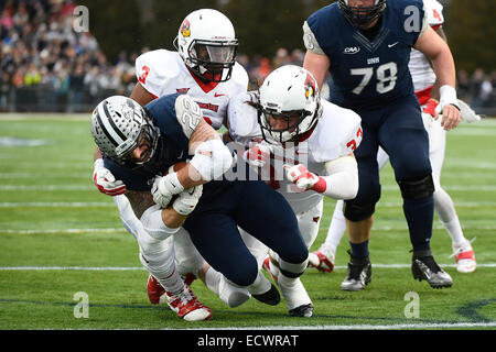Durham, New Hampshire, Stati Uniti d'America. Xx Dec, 2014. Università di New Hampshire a Nico Steriti (22) Poteri in per un touchdown durante il NCAA division 1 FCS semifinale partita di calcio tra il New Hampshire Wildcats e l'Illinois State Redbirds svoltasi sul campo Mooradian a Cowell Stadium di Durham, New Hampshire. Eric Canha/CSM/Alamy Live News Foto Stock