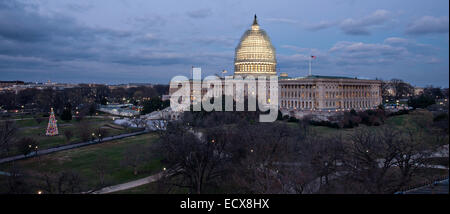 Vista aerea del ponteggio che copre la cupola della U.S. Capitol durante il restauro e il Capitol albero di Natale al crepuscolo, 20 dicembre 2014 a Washington, DC. Il $60 milioni di dollari del progetto è quello di arrestare il deterioramento della ghisa cupola e conservarlo per il futuro. Foto Stock