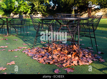 Bath Somerset Inghilterra Regno Unito il Giardino del Museo Holburne in autunno Foto Stock