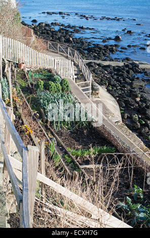 A terrazze giardino vegetale al di sopra del mare a Runswick Bay, North Yorkshire, Inghilterra, Regno Unito Foto Stock