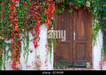 Colore di Autum Foto Stock