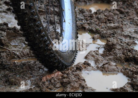 Una Mountain Bike pneumatico in presenza di fango e pioggia Foto Stock