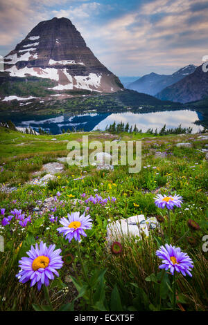 Nascosto Lago è situato nel Parco Nazionale di Glacier, in U. S. stato del Montana. Foto Stock