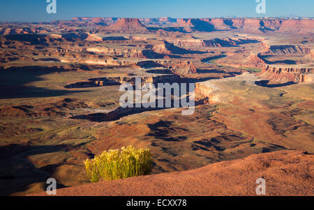 Grandview punto nel Parco Nazionale di Canyonlands, Utah Foto Stock