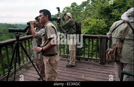 El Pino, Atlaneida, Honduras. Il 3 maggio, 2013. 5/1/2014 La Ceiba, Honduras. Gli amanti del birdwatching cercare specie in Pico Bonita Parcque nazionale, uno dei più grandi e la maggior parte dei parchi in remoto in Honduras. La foresta pluviale di montagna è la casa di più di 400 specie di uccelli durante l'anno. Situato vicino alla costa caraibica e alla base dei paesi di montagna più grandi, è una destinazione invernale per molti North American specie di uccelli migratori. © Ralph Lauer/ZUMA filo/Alamy Live News Foto Stock