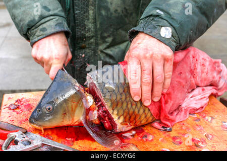 Carpa di Natale di Praga, Repubblica Ceca, bancarelle del mercato di strada che uccide un animale, fornitore di carpe di Natale ceche che taglia la testa di pesce tradizionale natalizia Foto Stock