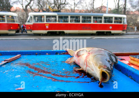 Vendita di carpe natalizie in strada, Praga, tram Charles Square, Repubblica Ceca Foto Stock