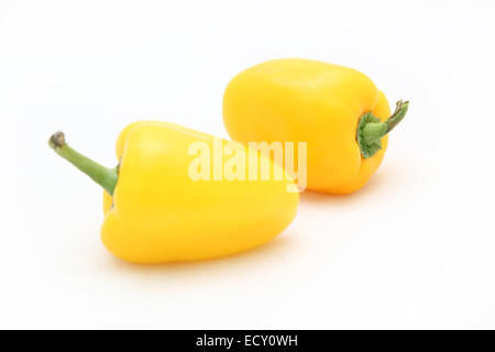 Il peperone giallo su sfondo bianco Foto Stock