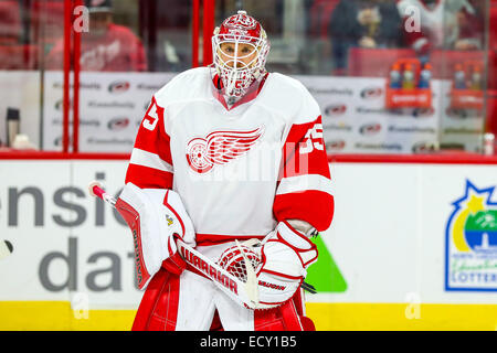 Raleigh, North Carolina, Stati Uniti d'America. Il 7 dicembre, 2014. Detroit Red Wings goalie Jimmy Howard (35) durante il gioco NHL tra le ali rosse di Detroit e Carolina Hurricanes al PNC Arena. Le ali rosse di Detroit ha sconfitto la Carolina Hurricanes 3-1. © Andy Martin Jr./ZUMA filo/Alamy Live News Foto Stock