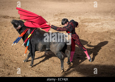 Torero effettuando un "Veronica', la corrida, El Barco de avila, Avila, Spagna Foto Stock