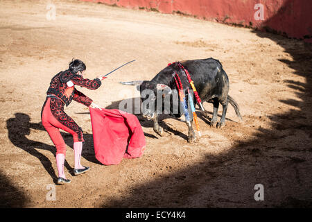 Torero dando il colpo mortale, la corrida, El Barco de avila, Avila, Spagna Foto Stock
